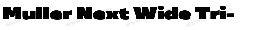 Muller Next Wide Tri字体转换